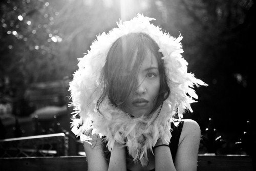 ShadowBox – AM (Bodhi Remix)