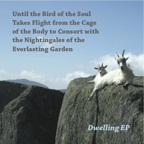 Until the Bird… – Collateral (Video)